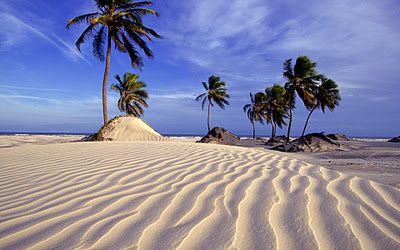 пляжи Бразилии фото, картинки, фотографии, Бразилия