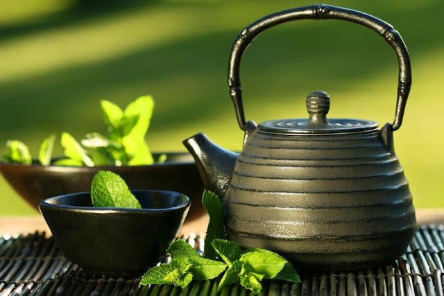 Зеленый чай поможет Вашему организму бороться с признаками старения