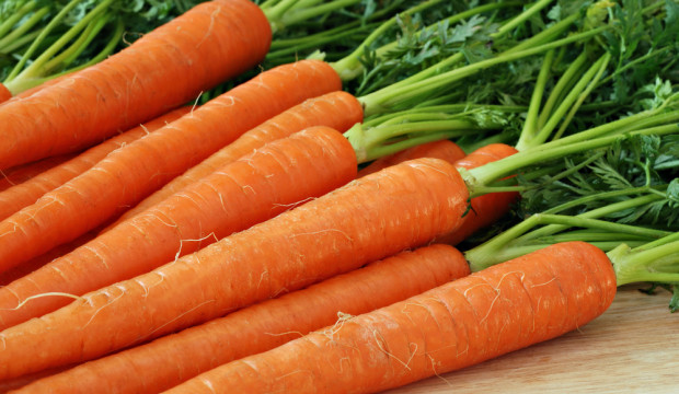 Лечимся морковным маслом