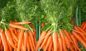Как правильно выбрать морковь?