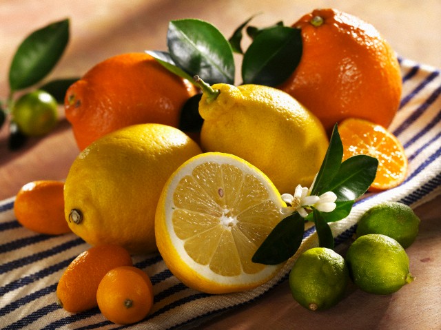 Still life with citrus fruit