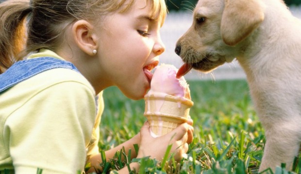 Девочка и щенок едят мороженое фото