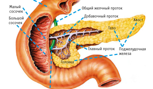 Рак поджелудочной фото