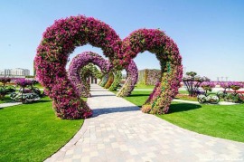 Парк цветов в Дубае (Dubai Miracle Garden)