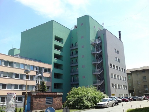 Витковицкая больница