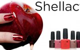 shellac