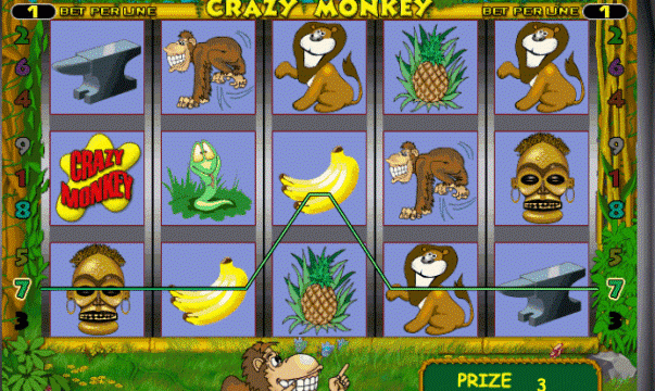 crazymonkey