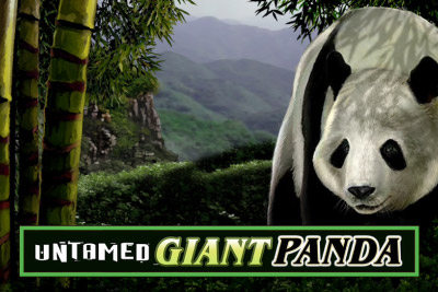 untamed_giant_panda_logo