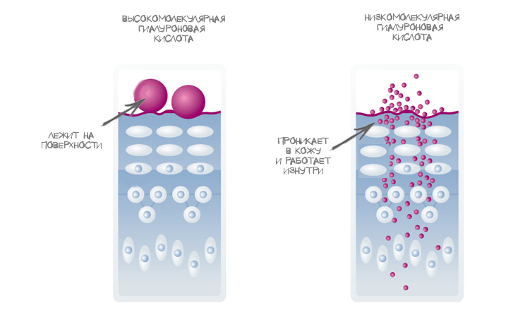Что представляет собой гиалуроновая кислота?