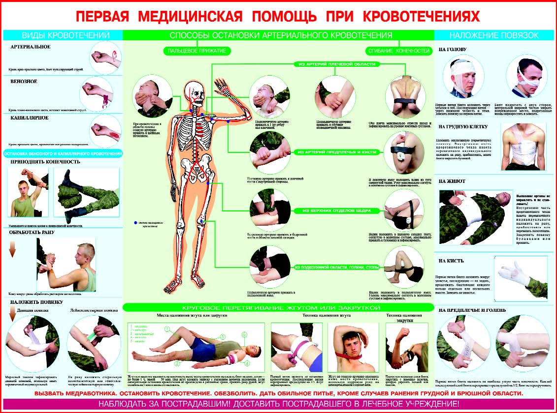 Популярные медицинские плакаты