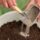 Удобрения и пакеты для гидропоники: как правильно подкармливать растения без почвы