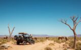 Le style safari : Aventure et fonctionnalité