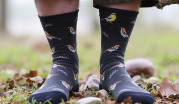 Носки для орнитологов: тишина и комфорт — как выбрать экипировку, чтобы слышать птиц и не утомлять ноги