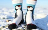 Носки с пингвинами: антарктическая милота