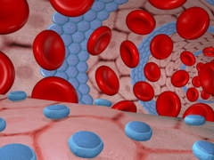 Наночастицы и кровяные тельца