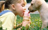 Девочка и щенок едят мороженое фото