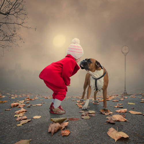 Девочка в осеннем тумане с собакой фото