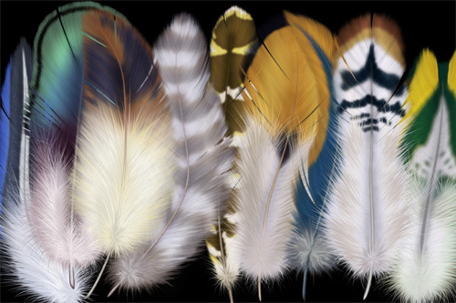 Использование перьев птиц в магических ритуалах