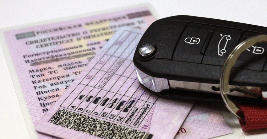 Чем отличается национальное водительское удостоверение от международного?