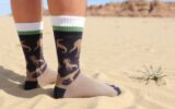 Носки для палеонтологов в пустыне: защита от песка